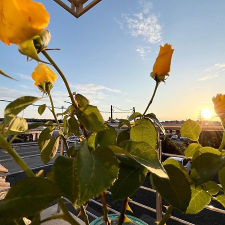 Corfu Airport Sweet Studio Экстерьер фото